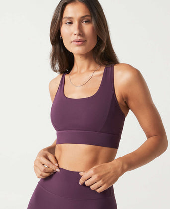 Frankie Cloud-Core Sports Bra - Ox Plum