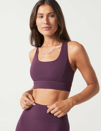 Frankie Cloud-Core Sports Bra - Ox Plum