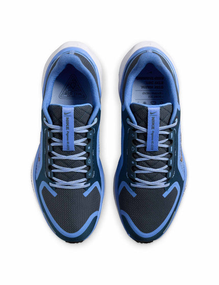 Nike Pegasus 41 Gore-Tex Shoes - Cobalt Bliss/Armoury Navy/Royal Pulse/Metallic Red Bronzeimages4- The Sports Edit