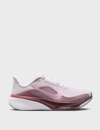 Pegasus 42 