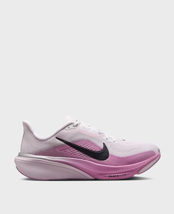 Pegasus 42 