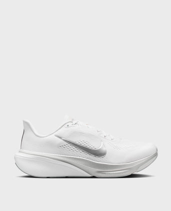 Pegasus 42 