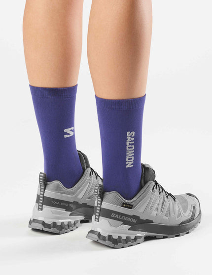 Salomon XA Pro 3D V9 Gore-Tex - Alloy/Castlerock/Lunar Rockimages7- The Sports Edit