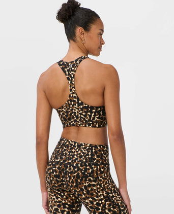 Power Racer Bra - Brown Offbeat Animal Print